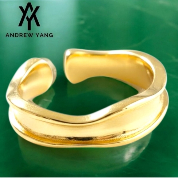 925 Silver Gold Free Form Minimalist Ring - Picture 2 of 4